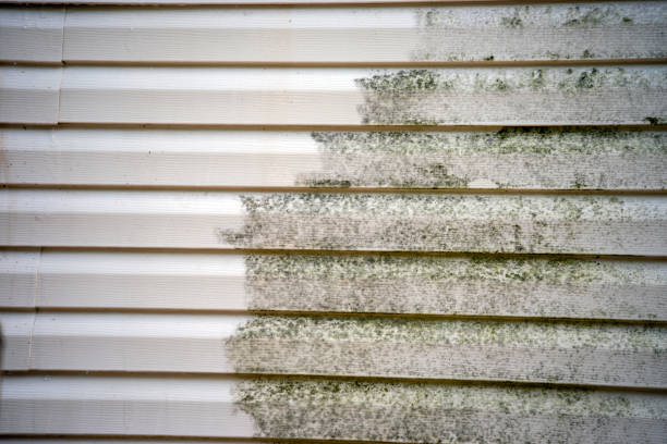Affordable siding repair and maintenance services in Taft, CA