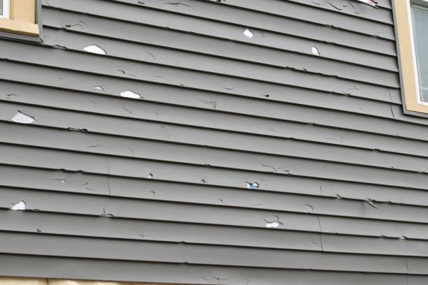 Best Residential Vinyl Siding Installation  in Taft, CA