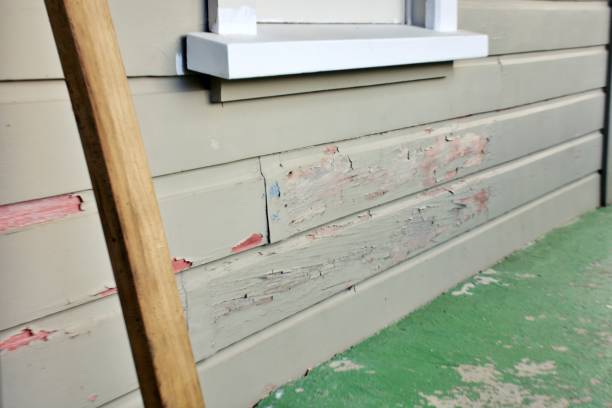 Best Storm Damage Siding Repair  in Taft, CA